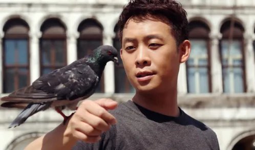 掌门女婿剧情分集介绍