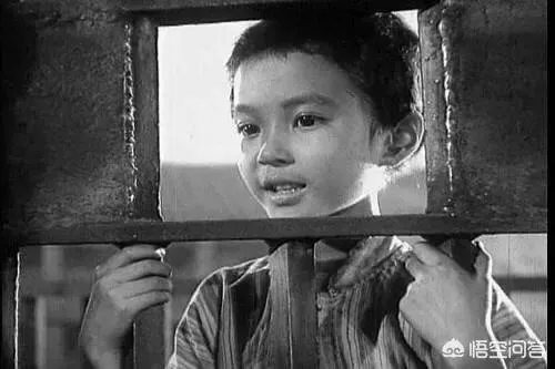 方舒为什么不演电影了呢?