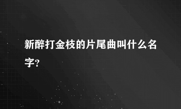 新醉打金枝的片尾曲叫什么名字？