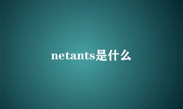 netants是什么