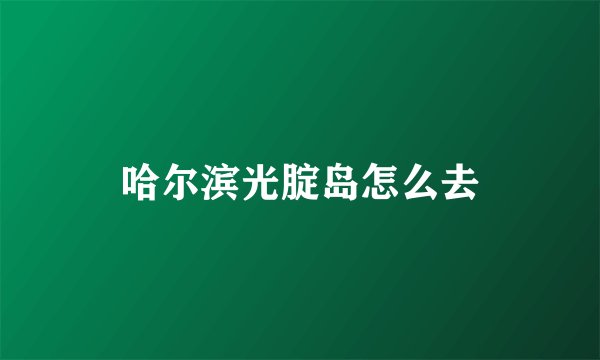 哈尔滨光腚岛怎么去