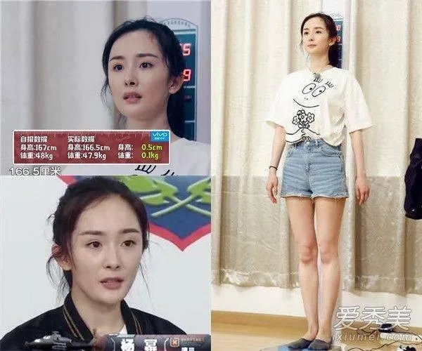 真正男子汉杨幂身高？