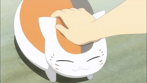 你家的猫做过哪些不可思议的事呢?