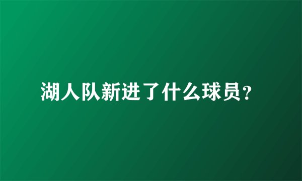 湖人队新进了什么球员？
