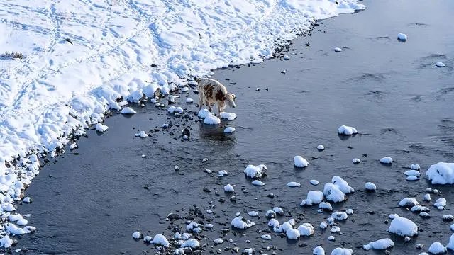冬天国内旅游去哪些地方好？