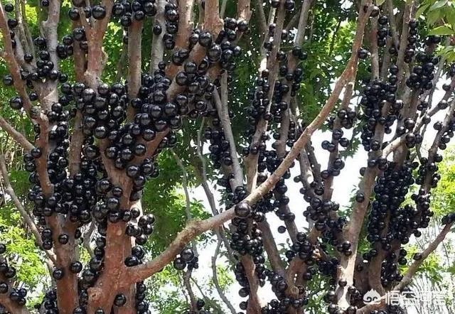 你认为中央电视台的《致富经》能让人致富吗？