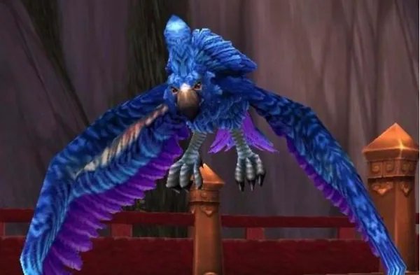 魔兽世界花羽鹦鹉怎么刷最快