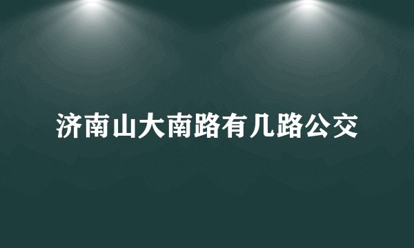 济南山大南路有几路公交