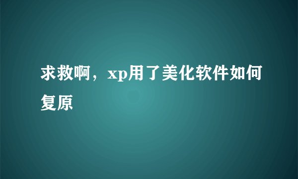 求救啊，xp用了美化软件如何复原