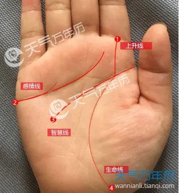 男人生命线图解 男人的十种生命线详解