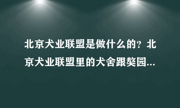 北京犬业联盟是做什么的？北京犬业联盟里的犬舍跟獒园又是怎么回事？