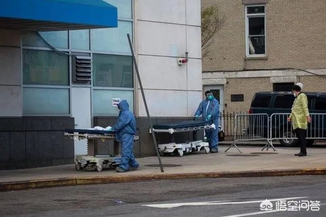 桑德斯退选意味着什么?