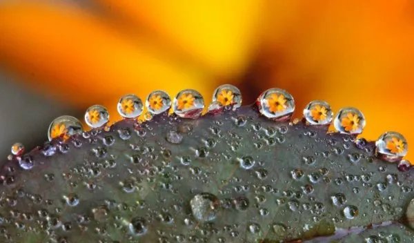 婆媳两个人能相聚在一起也是缘,怎样不做一个难缠的婆婆?