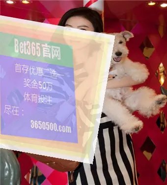 nba2008最新面部补丁和球鞋补丁