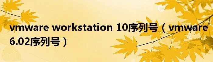 vmware workstation 10序列号（vmware6.02序列号）