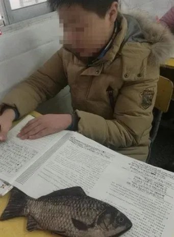 初中生带条鱼考试是真的吗