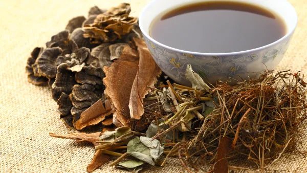 治疗痤疮的中药