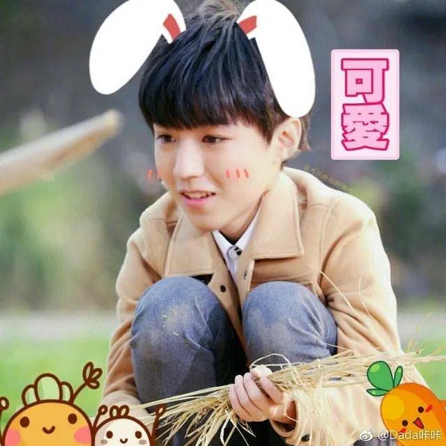 TFboys三人综艺发展之路怎么样?