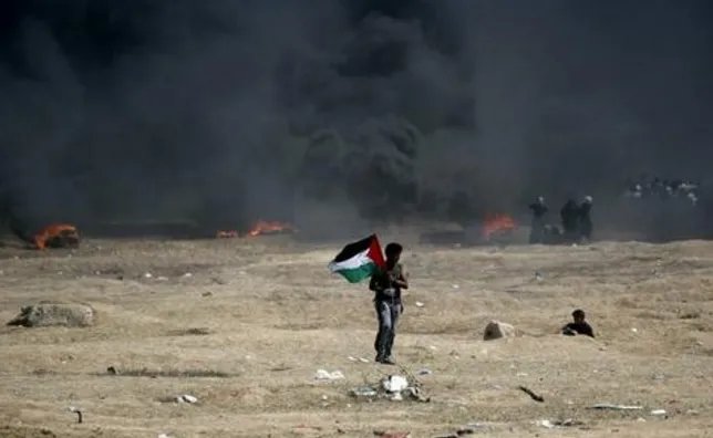 以军打死巴志愿者是什么原因？