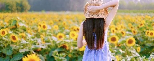 不入虎口 焉得虎子的意思 不入虎口 焉得虎子的的出处