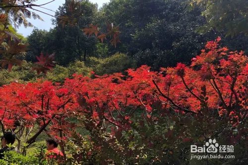 去湖州必游的十大景点都是哪里？