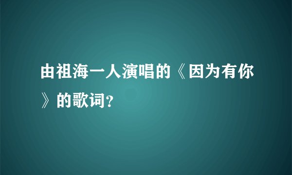 由祖海一人演唱的《因为有你》的歌词？