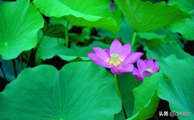 山西临汾市的饭店坍塌,有什么最新消息吗?