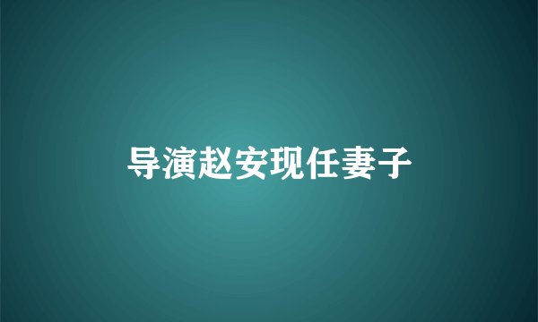 导演赵安现任妻子