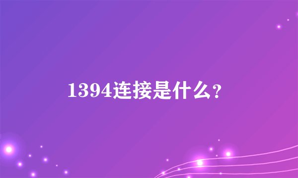 1394连接是什么？