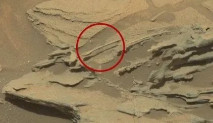 好奇号登陆火星是骗局？真实火星照曝光，你相信吗？