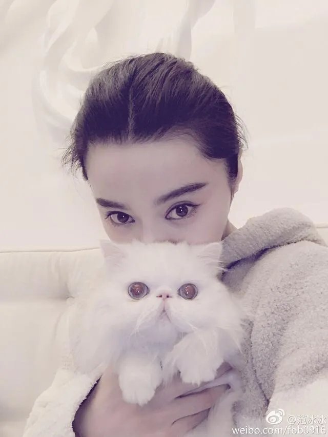 娱乐圈有哪些本来就长得很好看却还整容的明星？