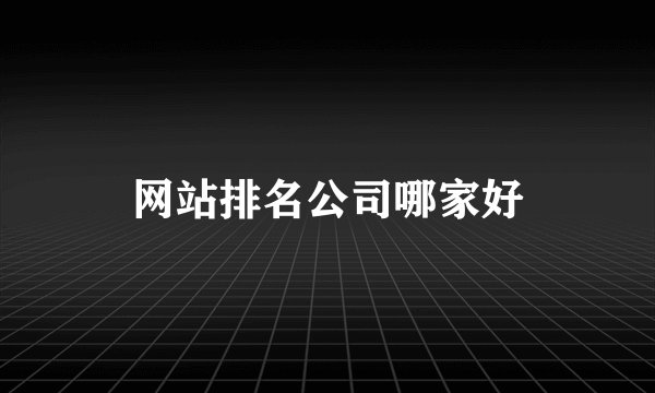 网站排名公司哪家好