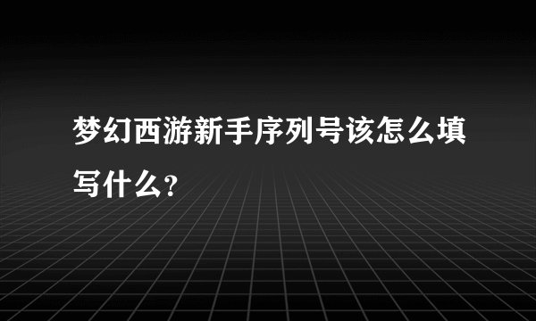 梦幻西游新手序列号该怎么填写什么？