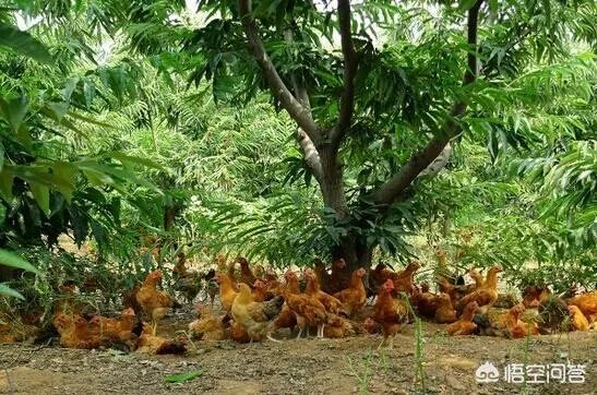 你认为中央电视台的《致富经》能让人致富吗？