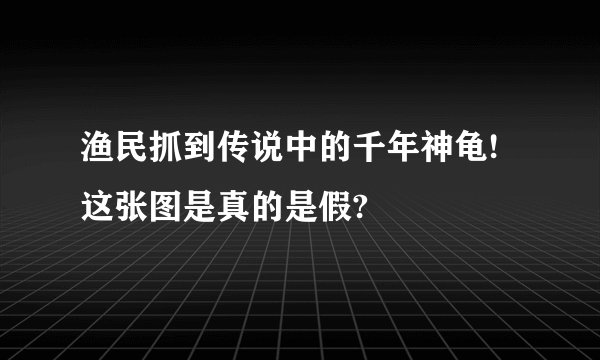 渔民抓到传说中的千年神龟! 这张图是真的是假?