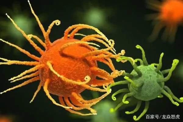 姚贝娜乳腺癌早期为什么只活了三年？