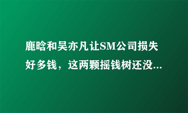 鹿晗和吴亦凡让SM公司损失好多钱，这两颗摇钱树还没把钱摇光，就跑了，我赞同SM公司一定要把这两颗摇