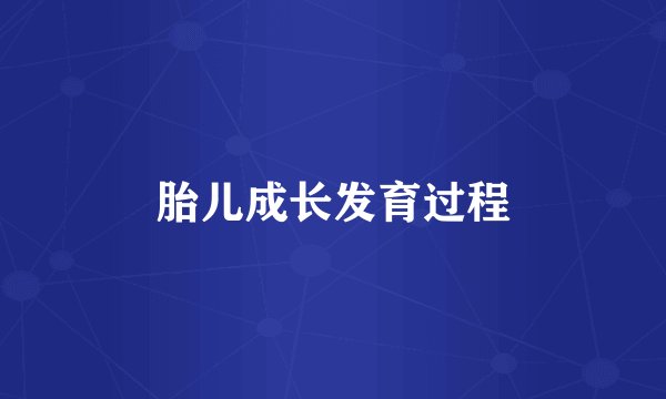 胎儿成长发育过程