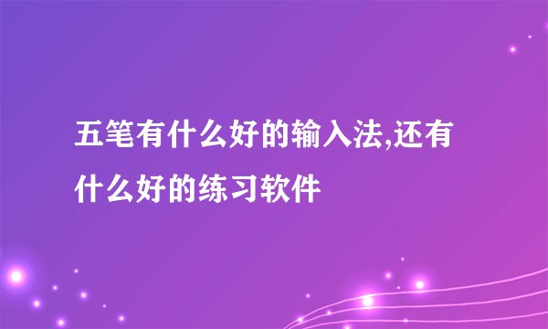 五笔有什么好的输入法,还有什么好的练习软件