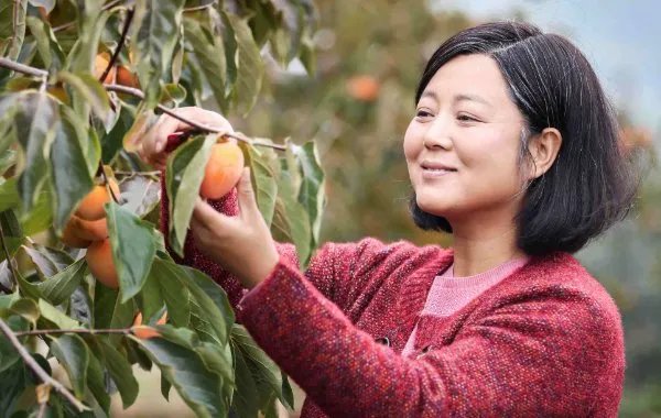 王茜华:演农村剧走红,为拍戏整容200次,今50岁现状如何?