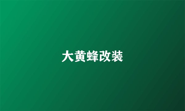 大黄蜂改装