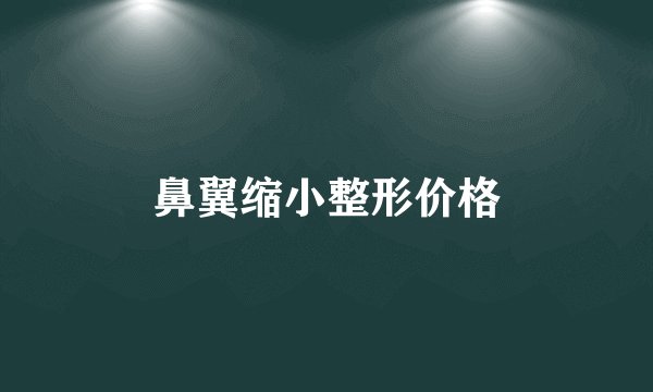 鼻翼缩小整形价格