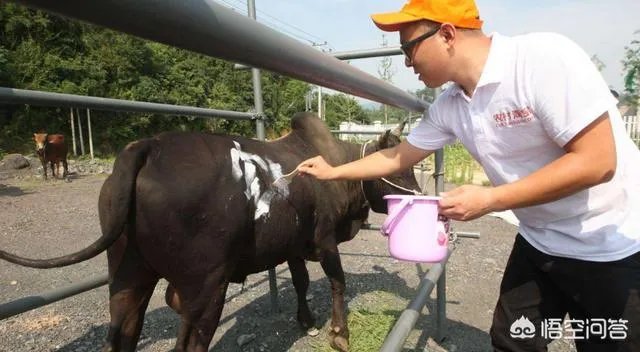 你认为中央电视台的《致富经》能让人致富吗？