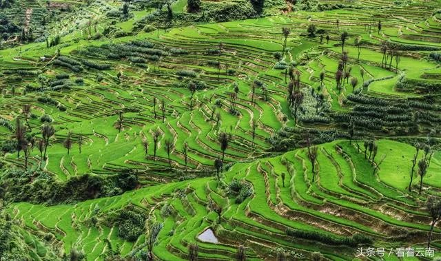 世界上最大的梯田有多少级阶梯?