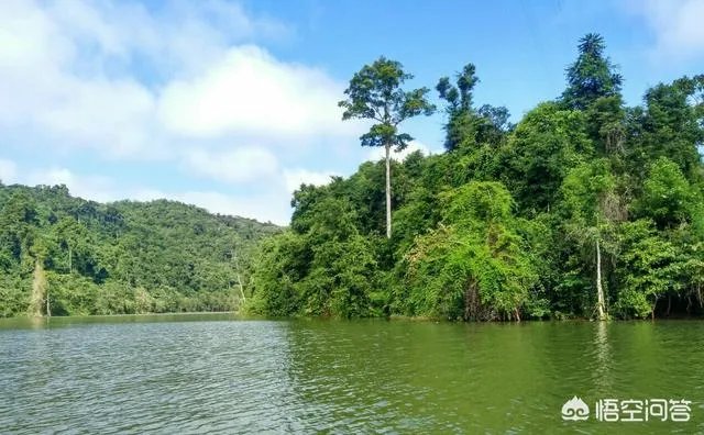 冬天国内旅游去哪些地方好？