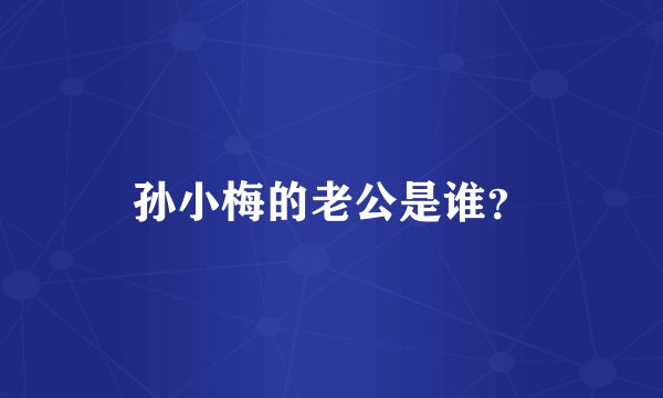 孙小梅的老公是谁？