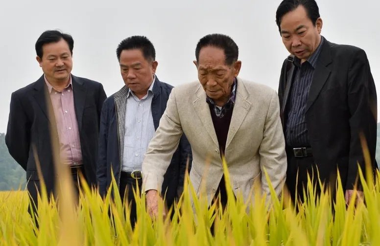 “国之脊梁”袁隆平院士逝世，集体呼吁降半旗悼念，你对此怎么看呢？