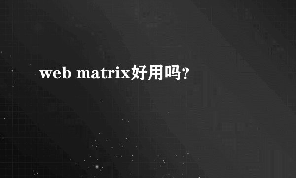 web matrix好用吗？