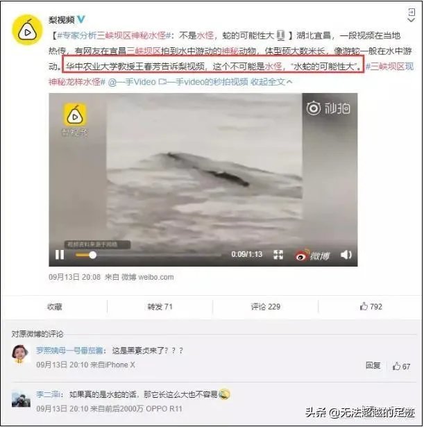 前几天出现的“三峡水怪”是什么,会是未知的生物吗?