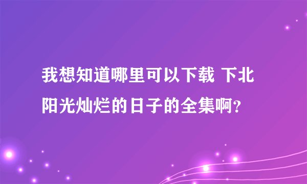 我想知道哪里可以下载 下北阳光灿烂的日子的全集啊？